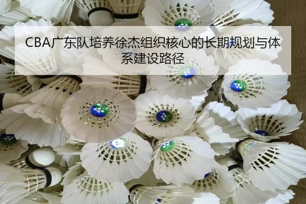 CBA广东队培养徐杰组织核心的长期规划与体系建设路径